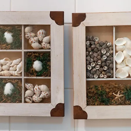 Colinas D'arrabida 아파트